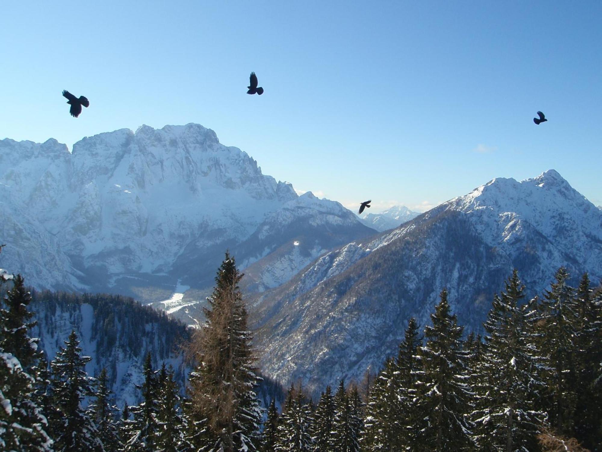 Tempfer 2 Apartments & Rooms With New Wellness Kranjska Gora Ngoại thất bức ảnh