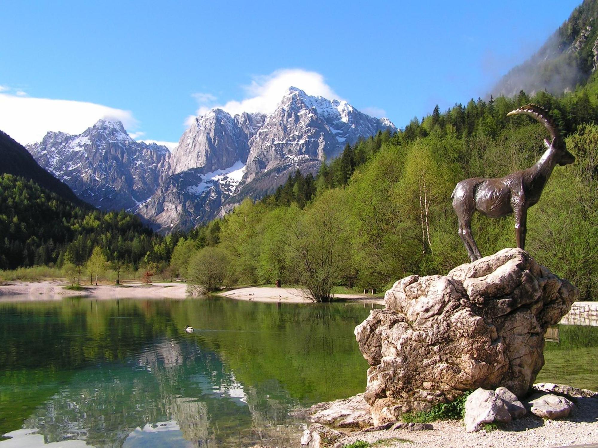 Tempfer 2 Apartments & Rooms With New Wellness Kranjska Gora Ngoại thất bức ảnh