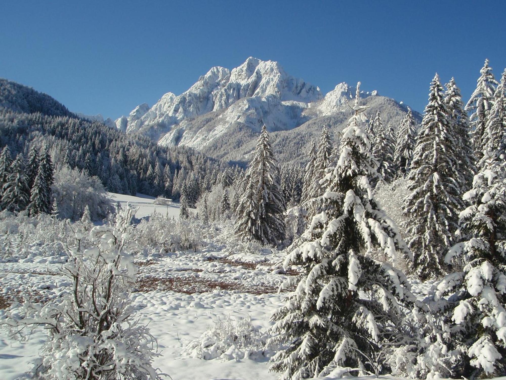 Tempfer 2 Apartments & Rooms With New Wellness Kranjska Gora Ngoại thất bức ảnh
