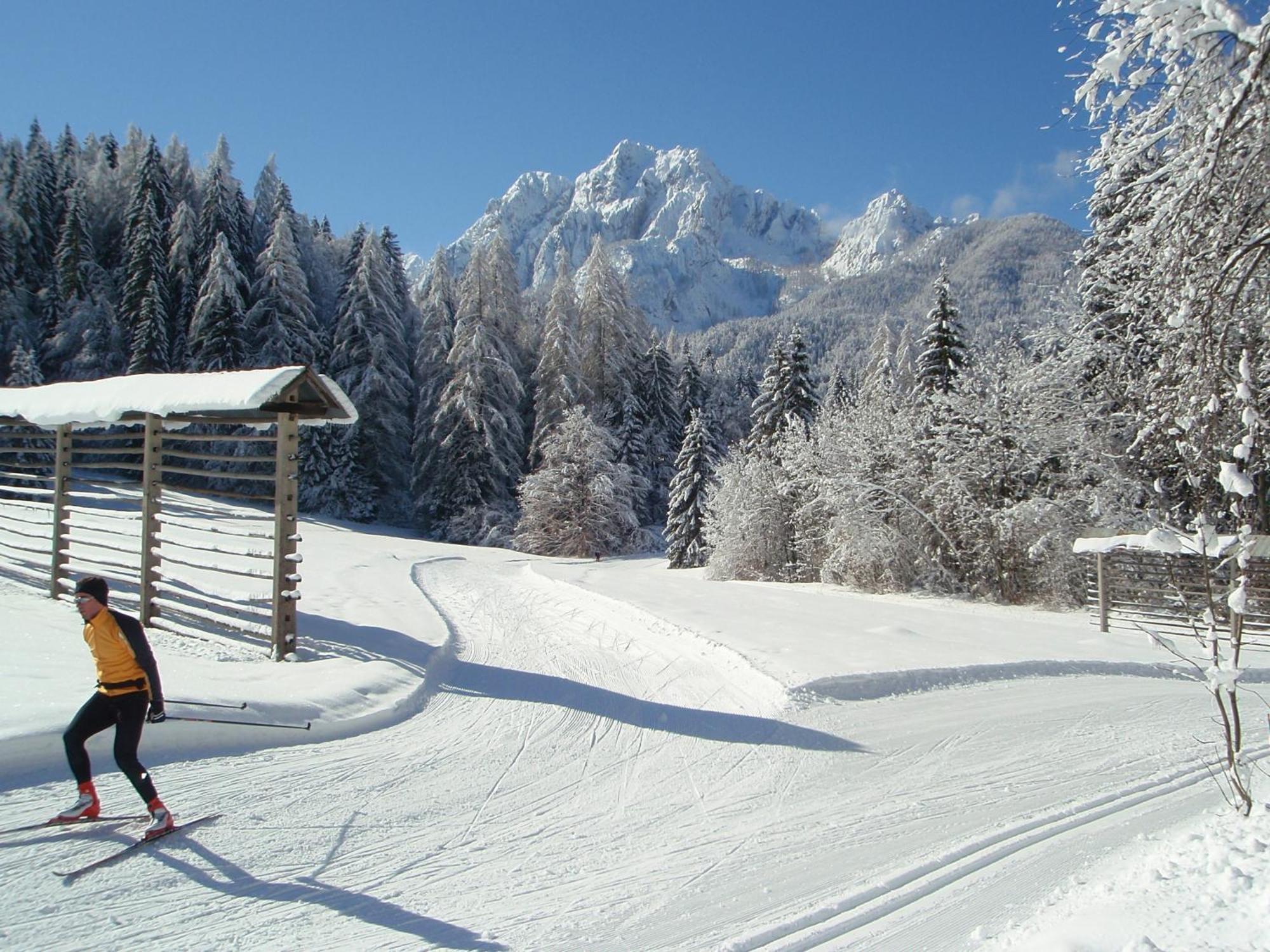 Tempfer 2 Apartments & Rooms With New Wellness Kranjska Gora Ngoại thất bức ảnh
